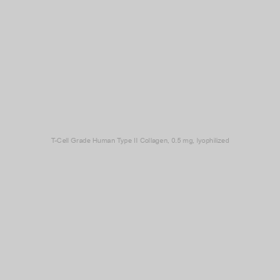 Chondrex - T-Cell Grade Human Type II Collagen, 0.5 mg, lyophilized